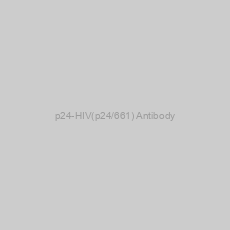 Image of p24-HIV(p24/661) Antibody